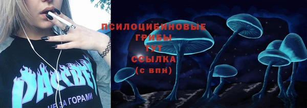 молекула духа Армянск