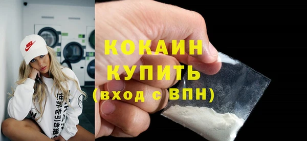 стаф Арсеньев