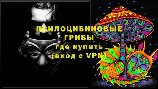 ГАЛЛЮЦИНОГЕННЫЕ ГРИБЫ Рославль
