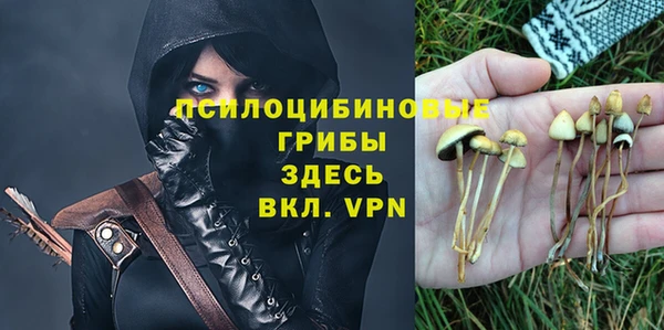 соль курить ск Аркадак